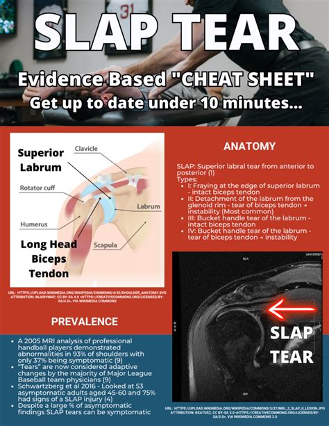 cardiovascular fitness test for slap tear|physical therapy for slap injury.